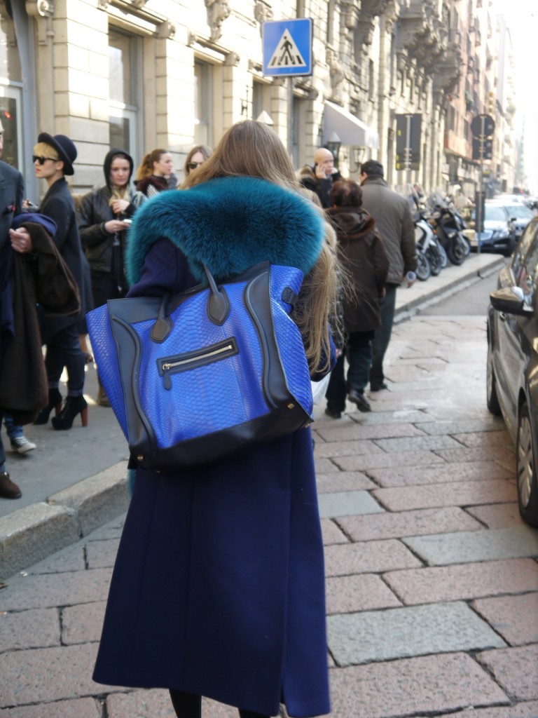 borsa_di_pelle_pitone_celine_blue_collo_blu_di_volpe