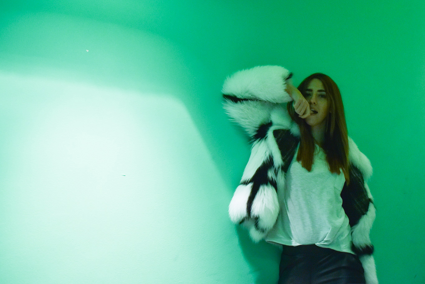 27022015-27022015-DSC_3224