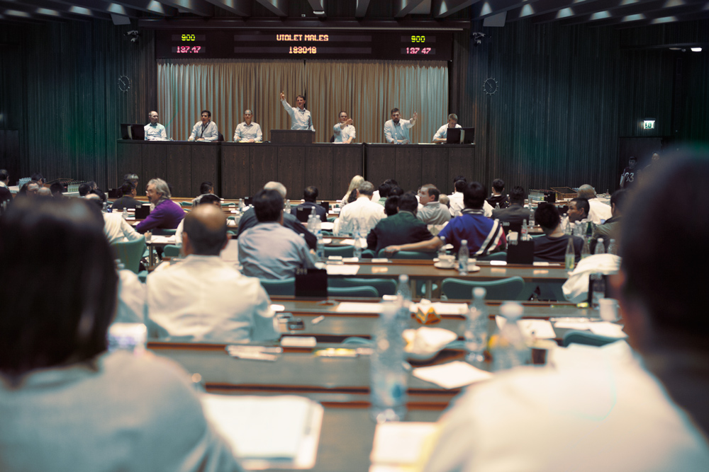 lady fur asta kopenhagen fur giugno 2015