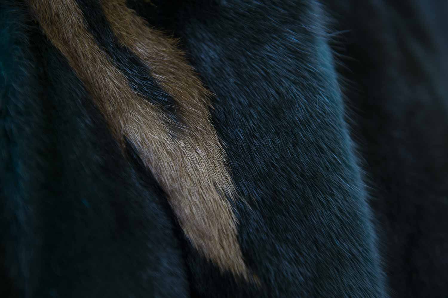 intarsio di pelliccia di visone blu