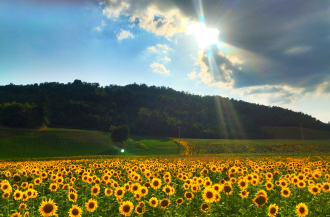 la pelliccia è sostenibile
