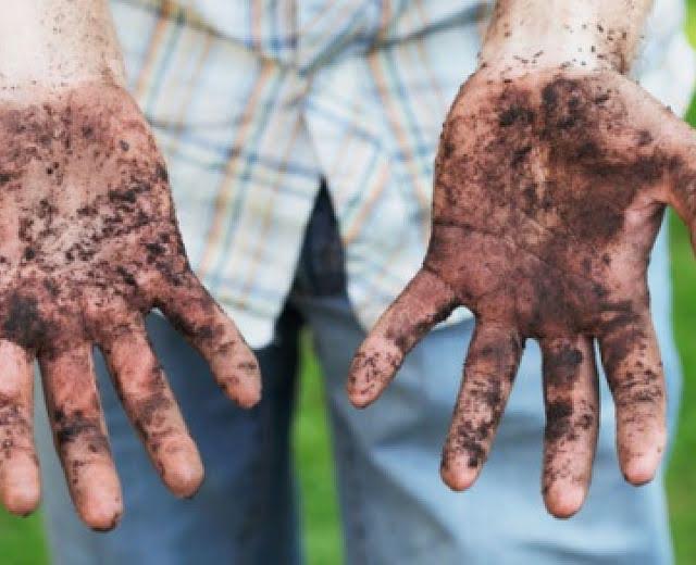 la teoria delle 5 a samantha de reviziis