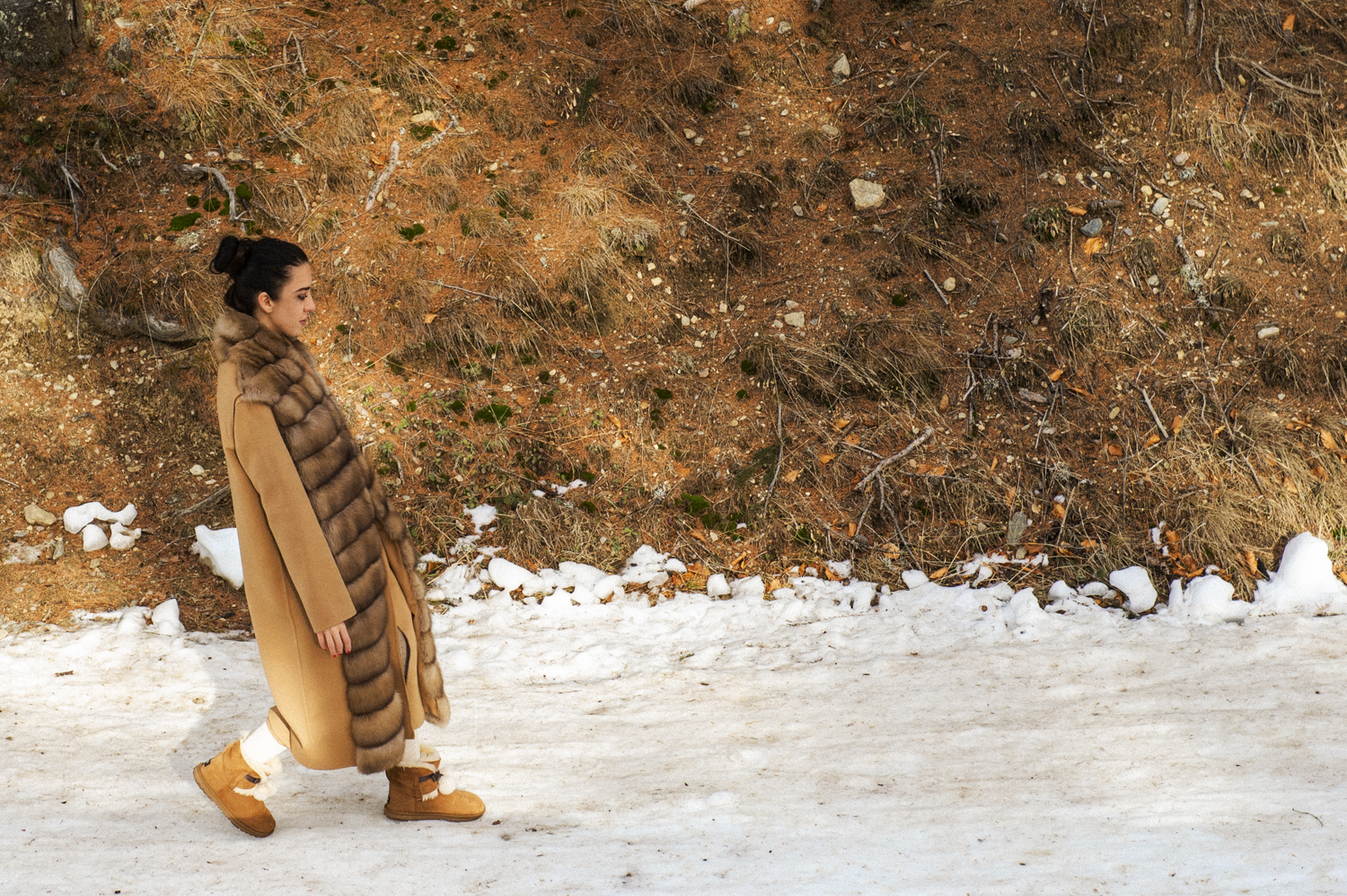 zibellino manzoni 24