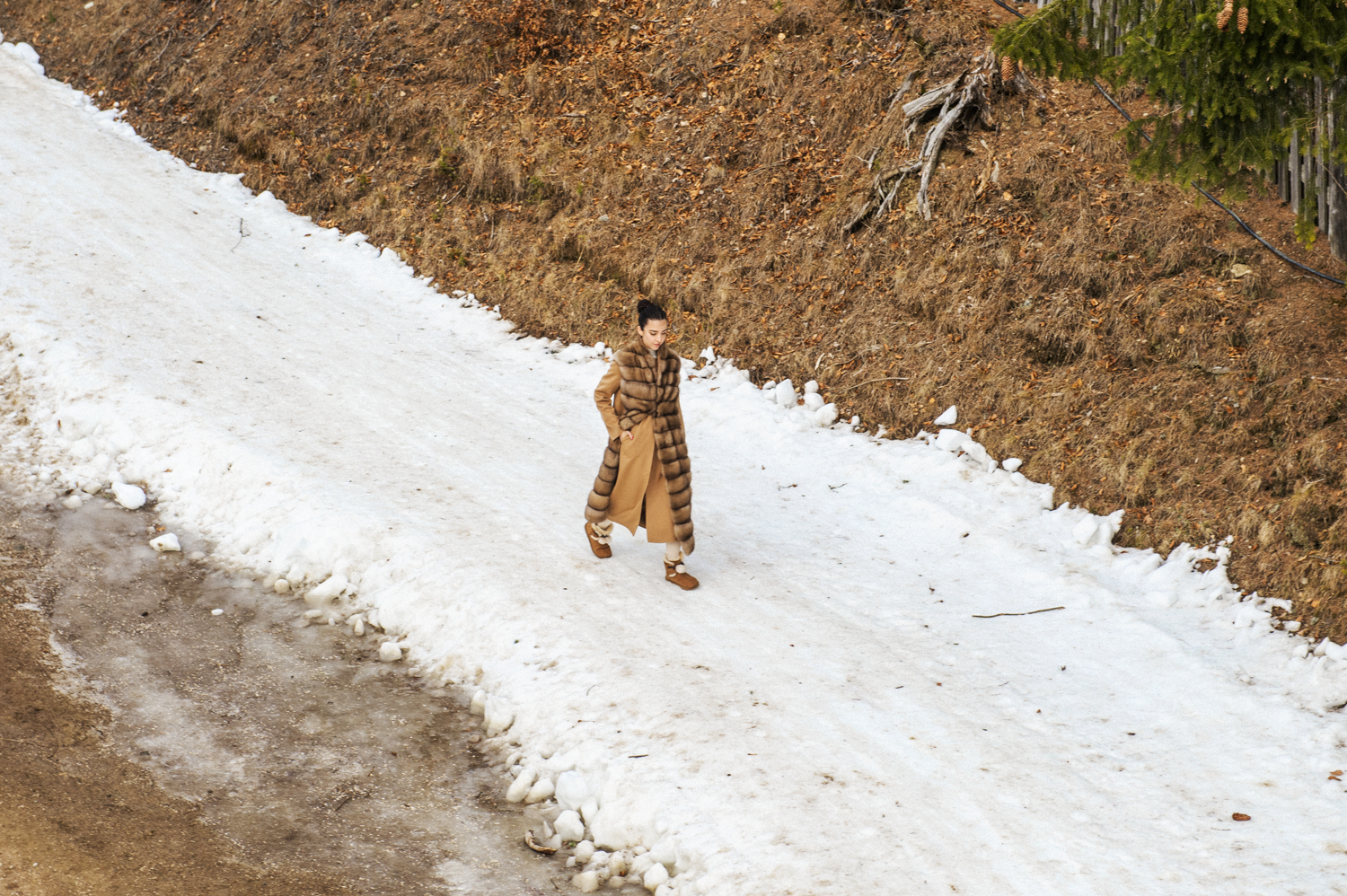 matteo volta manzoni 24