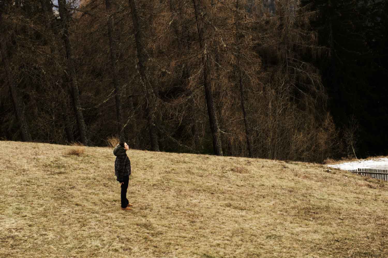 pelliccia zibellino tosato 1928